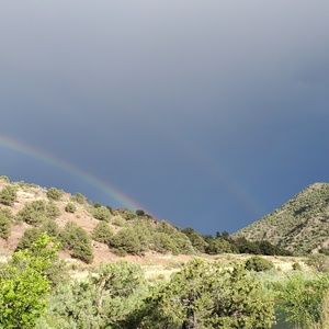 Meet your Posher, Leslee